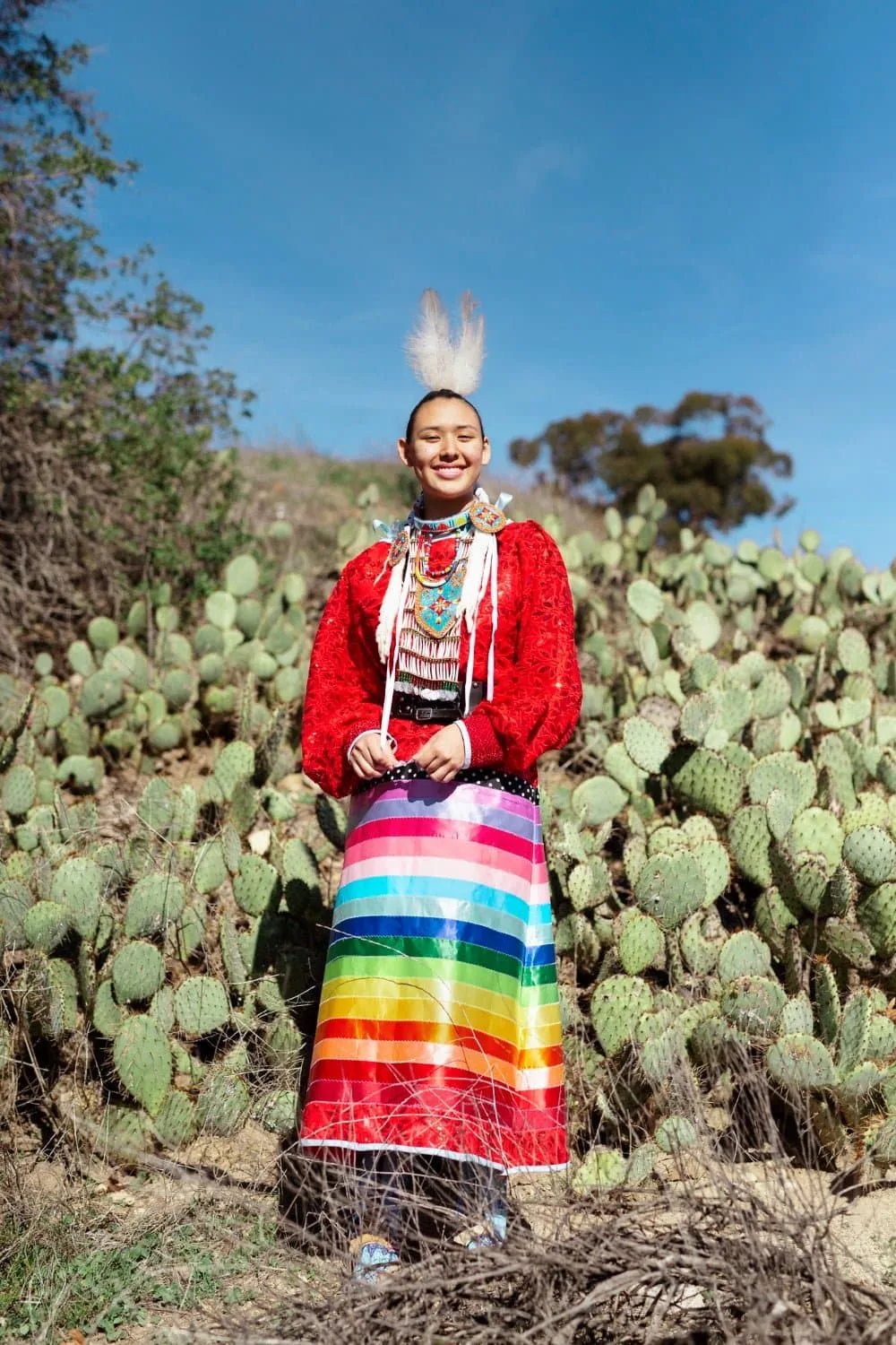 cualidades de vida inspiradas en los amerindios
