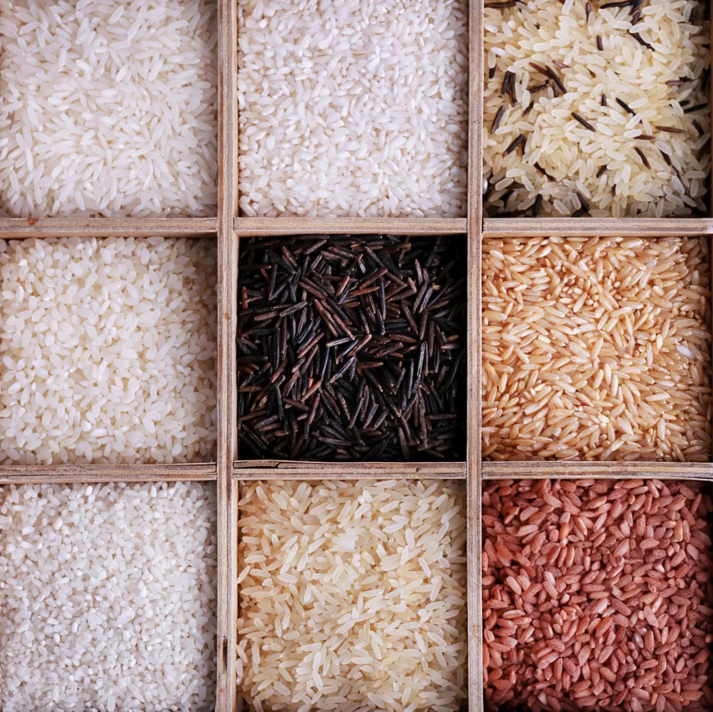 Variedades de arroz