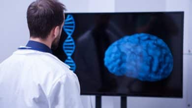 El misterio de los cerebros activos tras la muerte clínica