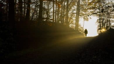 Personas que “murieron” y volvieron lo que aseguran haber visto