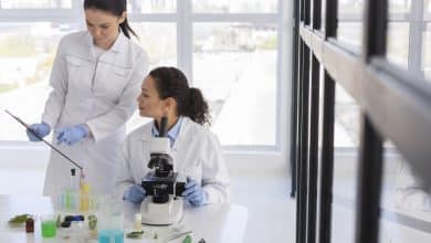 cientificos que investigan la vida despues de la vida