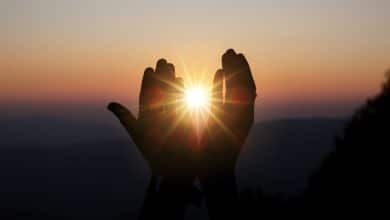 ¿Se puede elegir la familia antes de nacer Creencias, ciencia y sanación personal