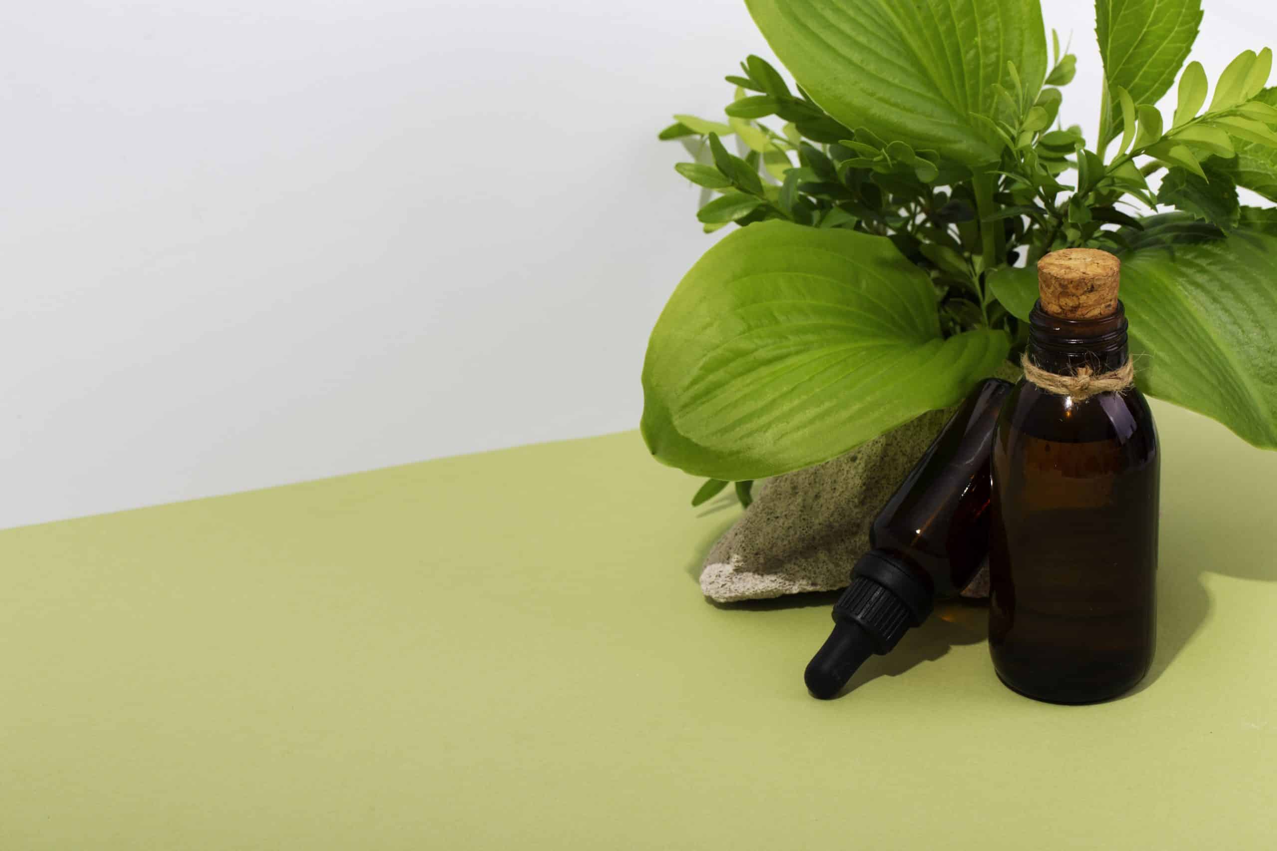Ashwagandha la planta que puede ayudarle con el estrés y la concentración