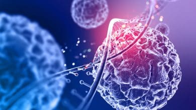 HapA, la proteína de Vibrio cholerae que puede destruir células cancerosas