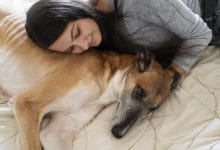 dormir con perro