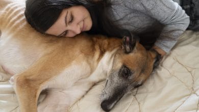 dormir con perro