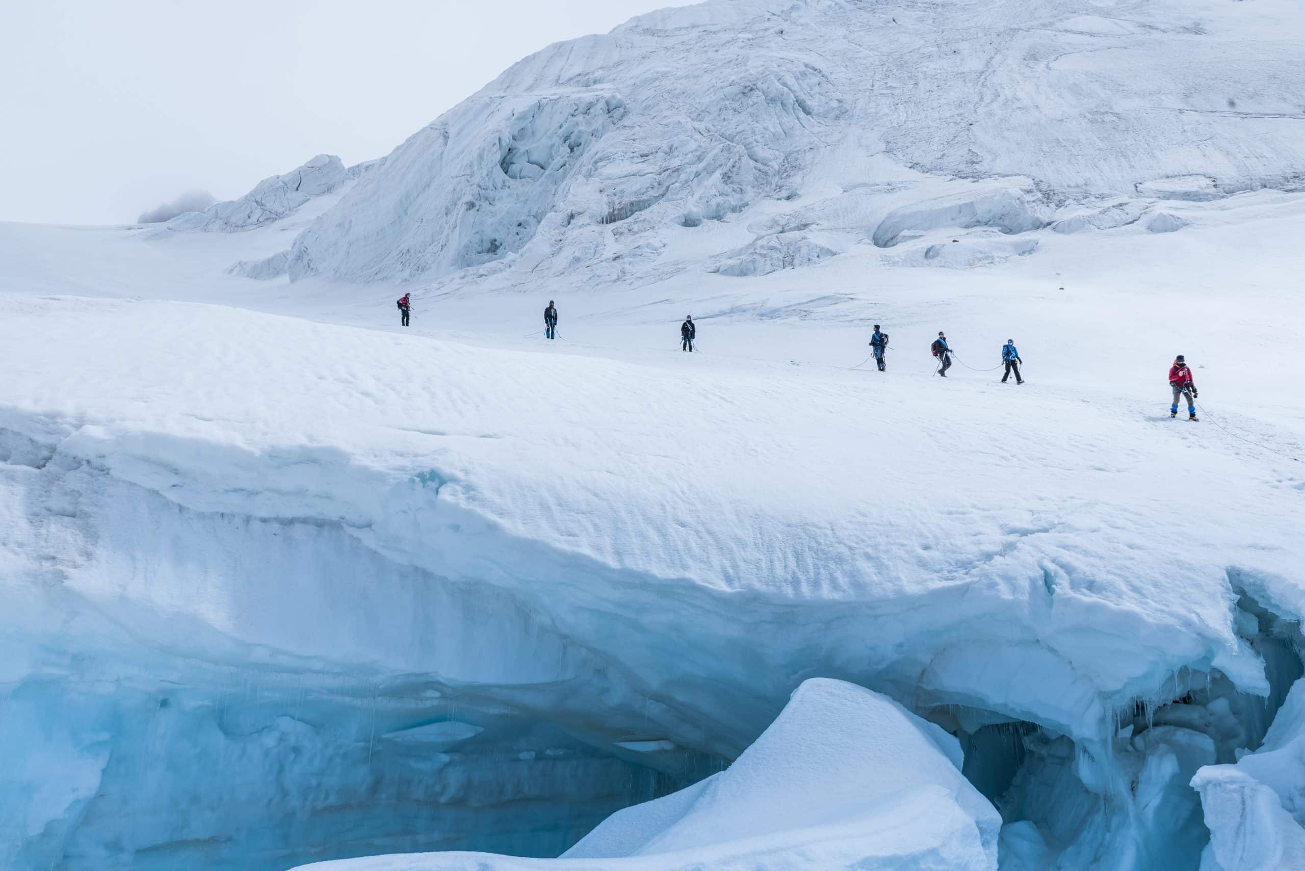 microbio en el hielo