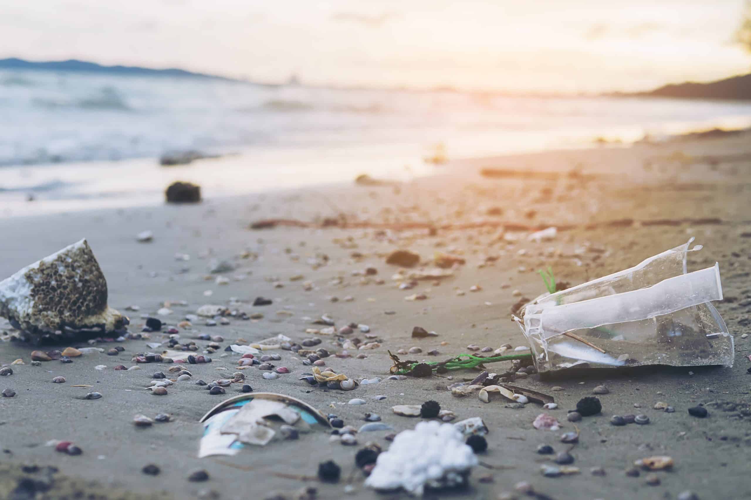 La verdad impactante del mar: Los microplásticos que ingerimos