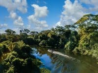 Amazonas