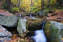 bosque de Huelgoat