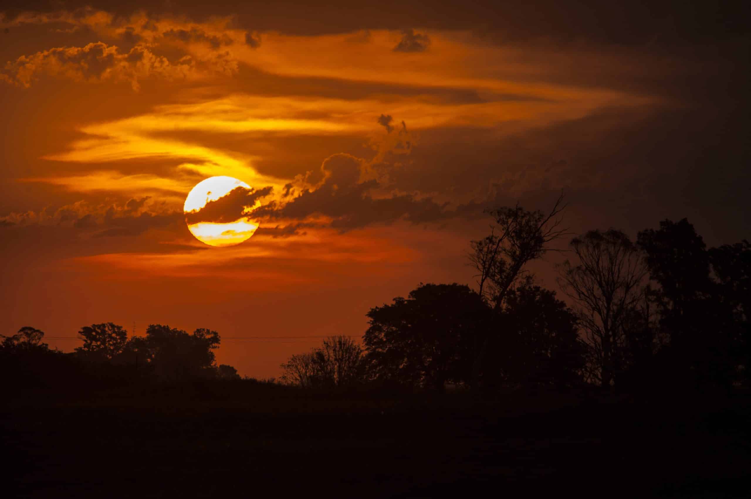 luna de cosecha